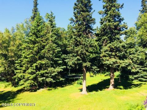 13101 Hillside Dr, Anchorage, AK 99516 photo 48