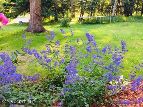 13101 Hillside Dr, Anchorage, AK 99516 photo 47