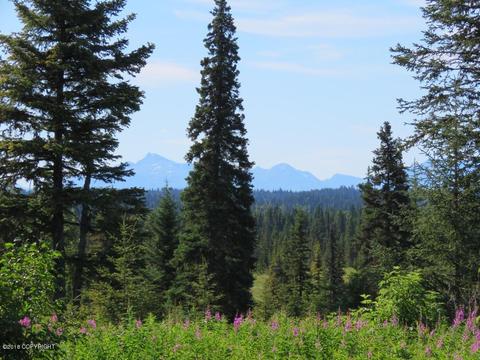 72215 Sarah Ave, Anchor Point, AK 99556 photo 45