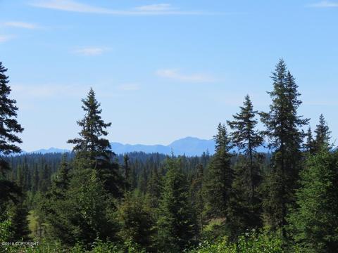 72215 Sarah Ave, Anchor Point, AK 99556 photo 44