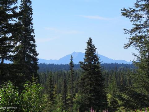 72215 Sarah Ave, Anchor Point, AK 99556 photo 18