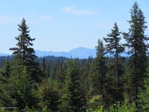 72215 Sarah Ave, Anchor Point, AK 99556 photo 3