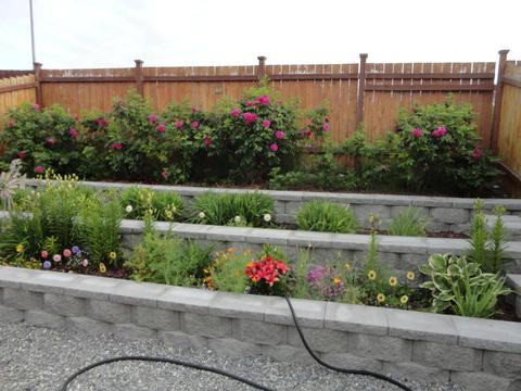 6111 Spruce Meadows Loop # 16A, Anchorage, AK 99507 photo 19
