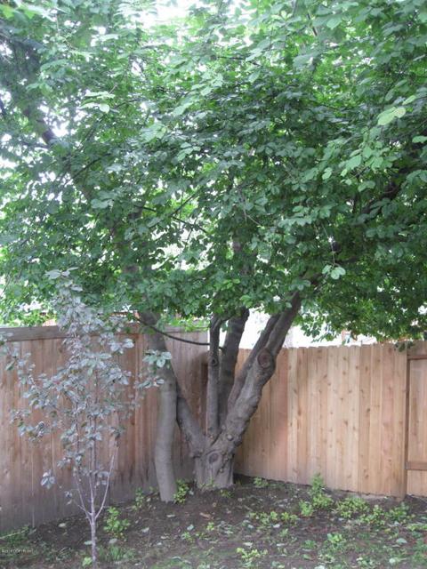 1811 Commodore Dr, Anchorage, AK 99507 photo 27