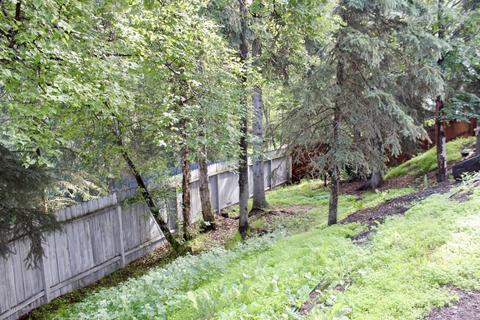 3971 E 88th Ave, Anchorage, AK 99507 photo 50
