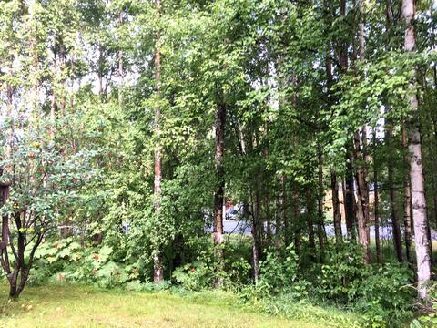 22750 Mcmanus Dr, Chugiak, AK 99567 photo 24