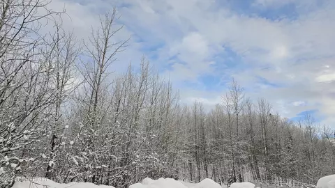 12124 Horseshoe Dr, Eagle River, AK 99577