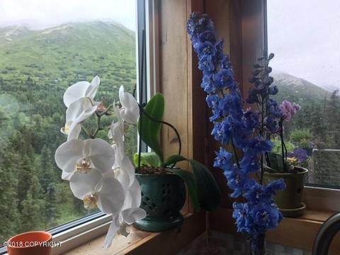 2035 W River Dr, Eagle River, AK 99577 photo 50
