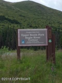 2035 W River Dr, Eagle River, AK 99577 photo 58