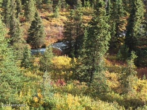 2035 W River Dr, Eagle River, AK 99577 photo 54
