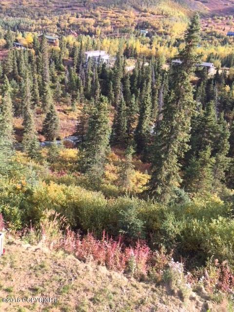 2035 W River Dr, Eagle River, AK 99577 photo 55