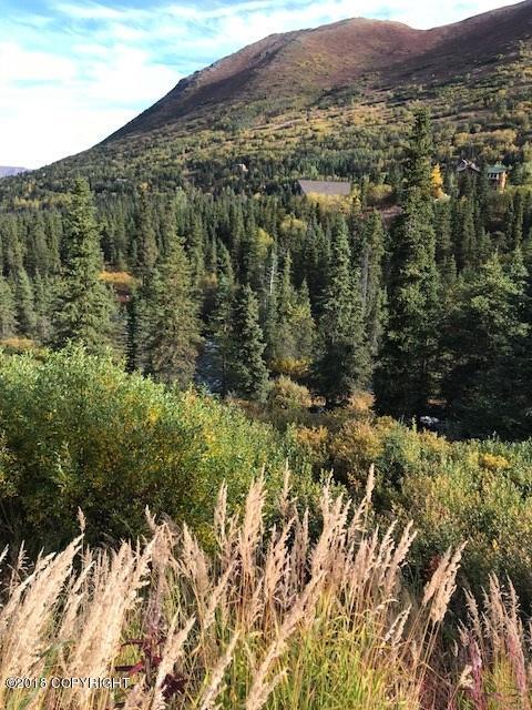2035 W River Dr, Eagle River, AK 99577 photo 60