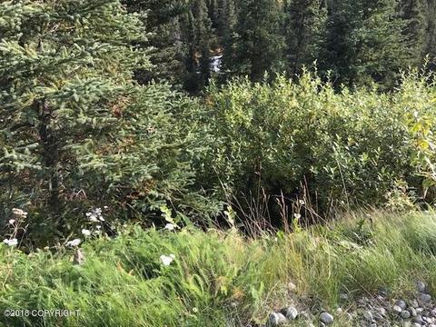 2035 W River Dr, Eagle River, AK 99577 photo 61
