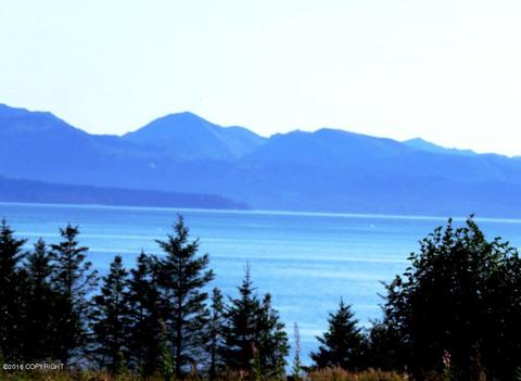 955 Sterling Hwy, Homer, AK 99603