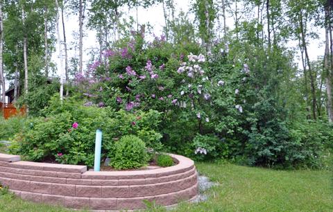 14631 Terrace Ln, Eagle River, AK 99577 photo 32