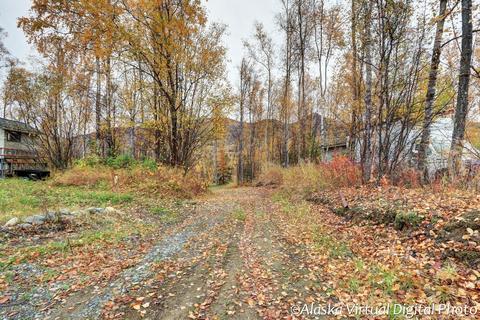 14631 Terrace Ln, Eagle River, AK 99577 photo 34