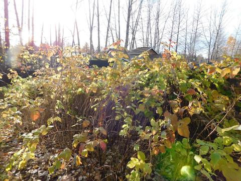 3950 E 65th Ave, Anchorage, AK 99507 photo 40