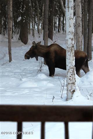 1409 Michael Ln, North Pole, AK 99705 photo 22