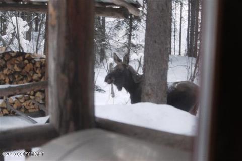 1409 Michael Ln, North Pole, AK 99705 photo 21