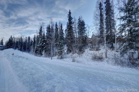 9222 Geese Cir, Eagle River, AK 99577 photo 39