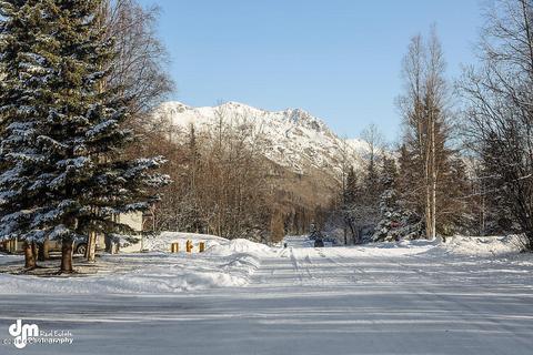19535 First St, Eagle River, AK 99577 photo 50
