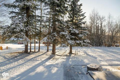 19535 First St, Eagle River, AK 99577 photo 48