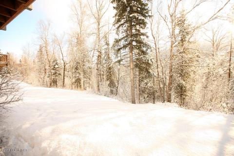 8509 Lassen Cir, Eagle River, AK 99577 photo 18