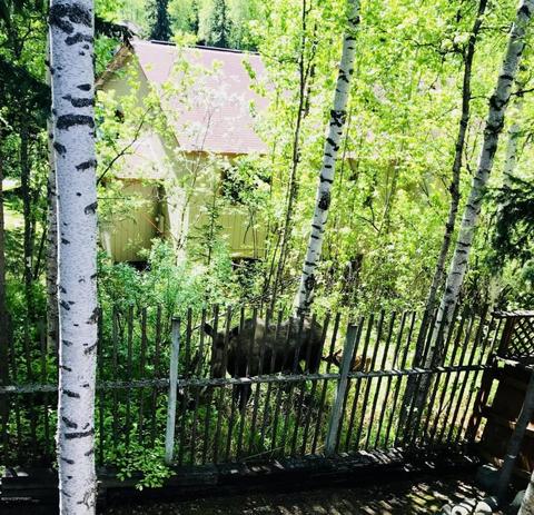 18840 Sarichef Loop, Eagle River, AK 99577 photo 43