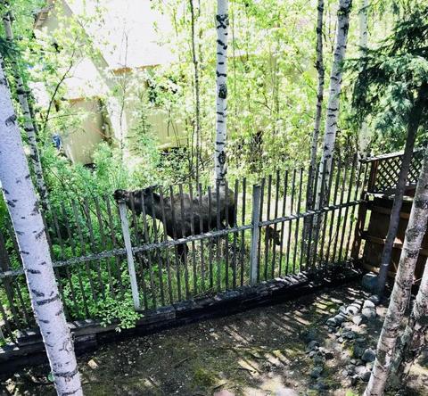 18840 Sarichef Loop, Eagle River, AK 99577 photo 42