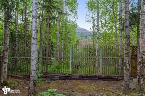 18840 Sarichef Loop, Eagle River, AK 99577 photo 41