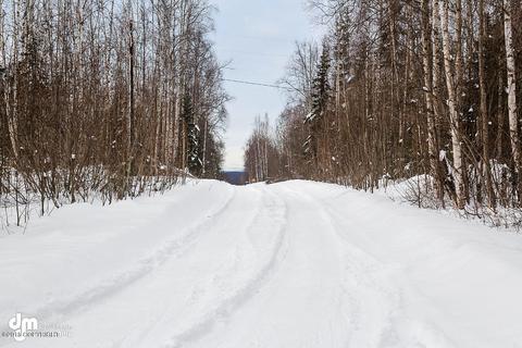 20230 Tenada Ave, Chugiak, AK 99567 photo 26
