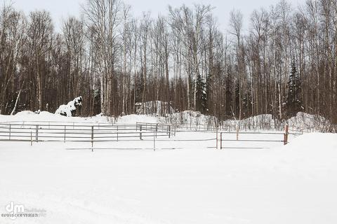 20230 Tenada Ave, Chugiak, AK 99567 photo 38