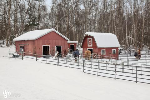 20230 Tenada Ave, Chugiak, AK 99567 photo 15