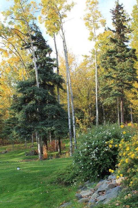 27605 Paramount Dr, Eagle River, AK 99577 photo 51