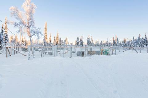 4237 Polar Fox Loop, North Pole, AK 99705 photo 25