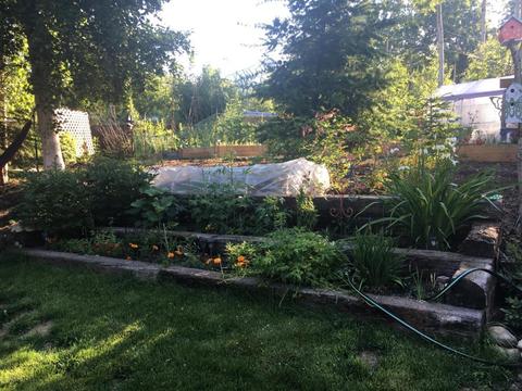 18631 Citation Rd, Eagle River, AK 99577 photo 31