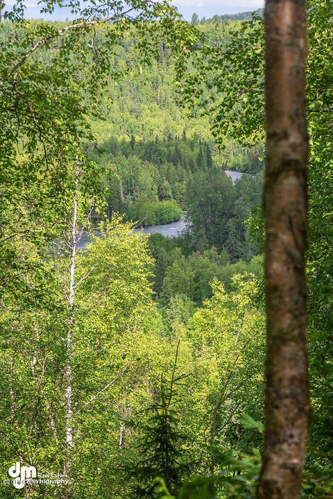 16941 Yellowstone Dr, Eagle River, AK 99577 photo 2