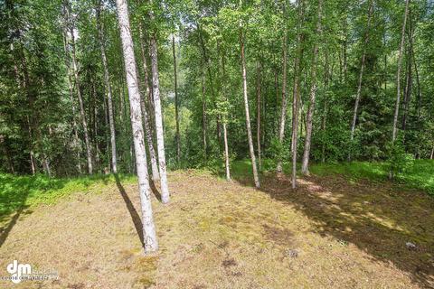 16941 Yellowstone Dr, Eagle River, AK 99577 photo 8