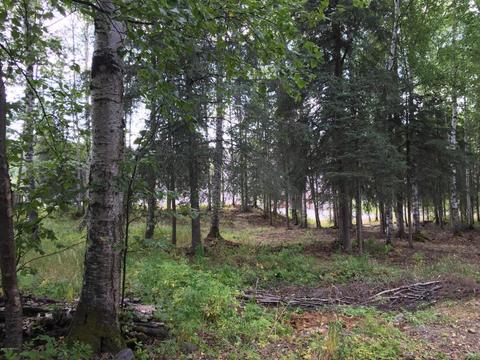 11128 Mausel St, Eagle River, AK 99577 photo 14