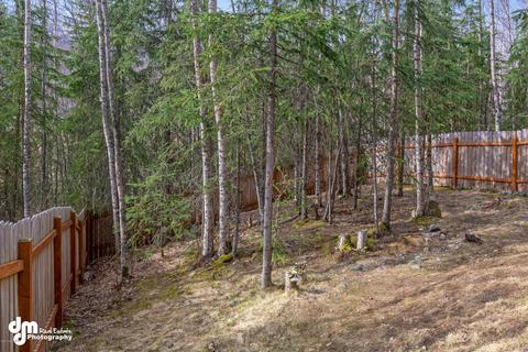 9178 Eagle River Ln, Eagle River, AK 99577 photo 45
