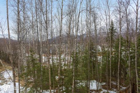 9178 Eagle River Ln, Eagle River, AK 99577 photo 53