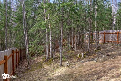 9178 Eagle River Ln, Eagle River, AK 99577 photo 44
