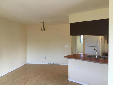 237 Orange Leaf Cir, Anchorage, AK 99504 photo 3