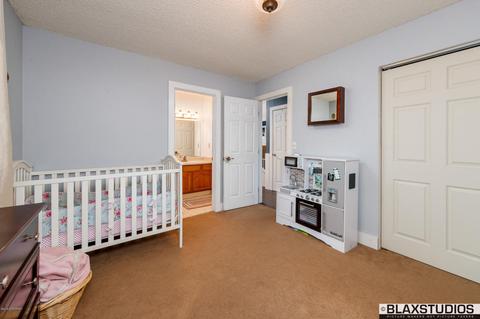 9505 Puffin Cir, Eagle River, AK 99577 photo 25
