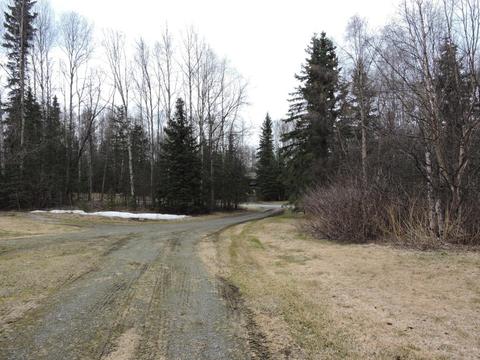 13913 Savage Dr, Eagle River, AK 99577 photo 6