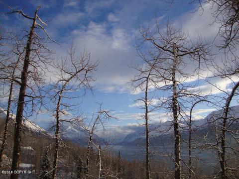 22354 Glacier View Dr, Eagle River, AK 99577 photo 47