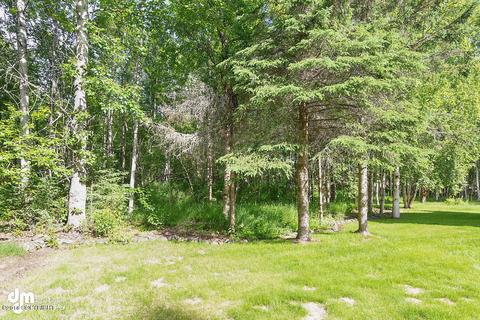 22116 Deer Cir, Chugiak, AK 99567 photo 41