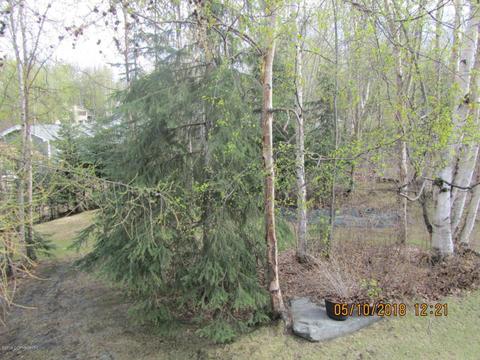 6841 3rd Ave, Anchorage, AK 99504 photo 19
