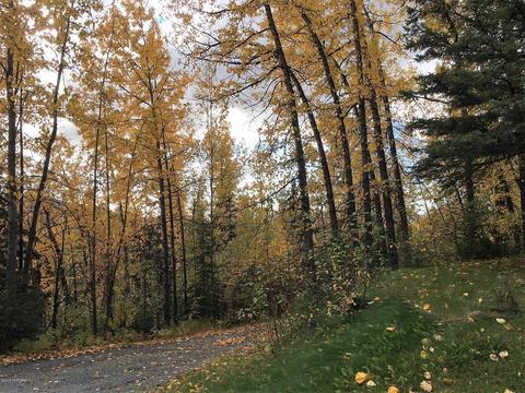 10980 Corrie Way, Eagle River, AK 99577 photo 28