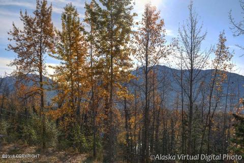 10980 Corrie Way, Eagle River, AK 99577 photo 23